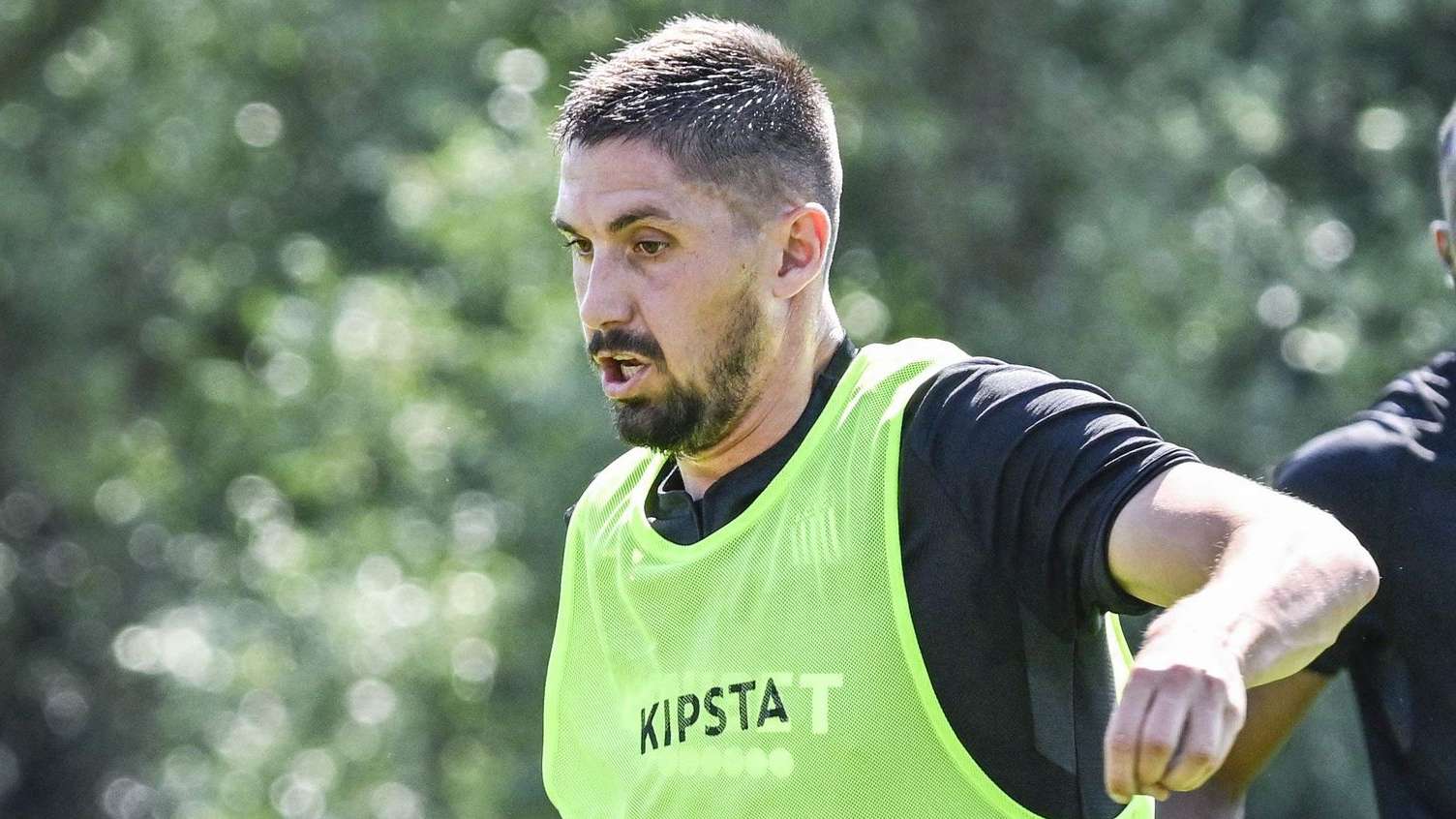 可以引入更 可以引入更