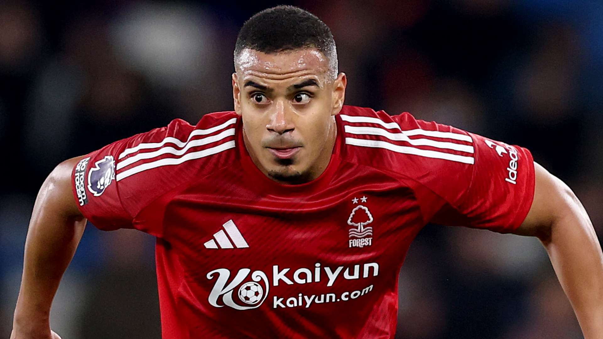 大量游客涌 大量游客涌